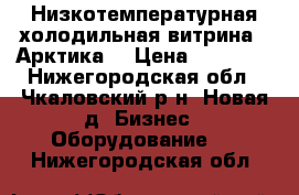 Низкотемпературная холодильная витрина “ Арктика“ › Цена ­ 15 000 - Нижегородская обл., Чкаловский р-н, Новая д. Бизнес » Оборудование   . Нижегородская обл.